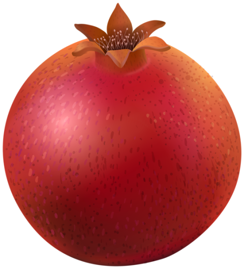 Pomegranate Icon PNG Free Transparent