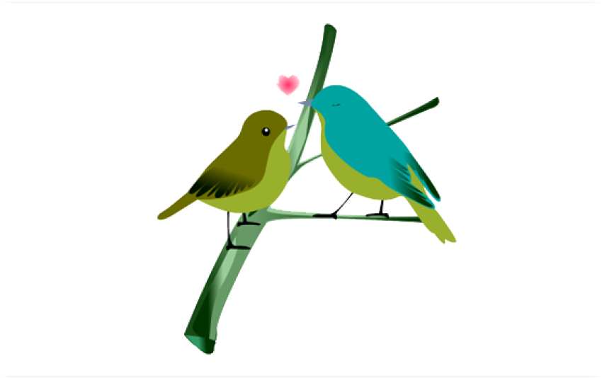 Free Download Lovebird PNG Art Image