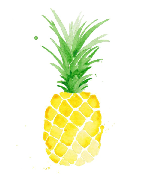 Silhuette Vector Pineapple Fruit Icon & Pinting PNG Royalty Free Transparent Free Download