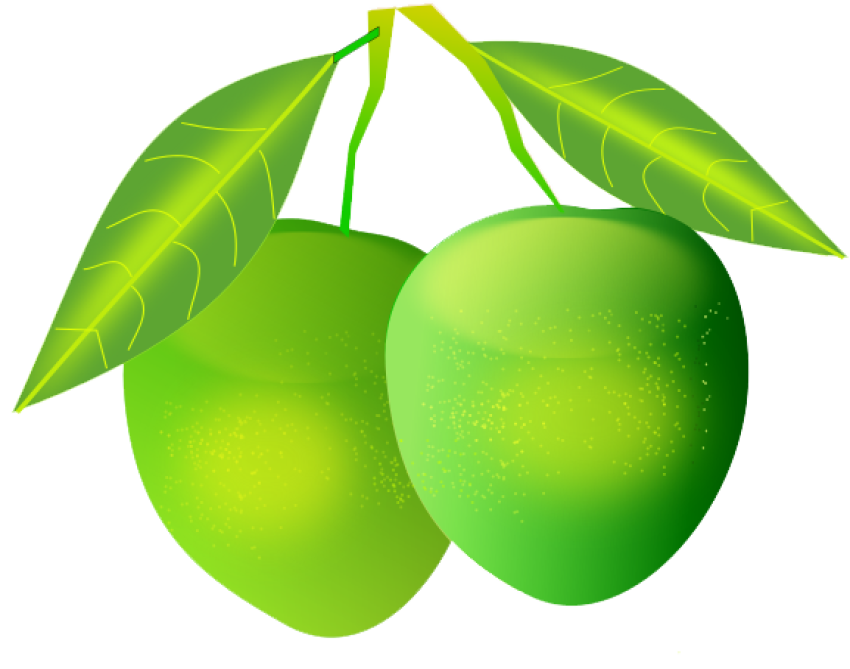 Download Free Green Mango Icon PNG Free Transparent Background