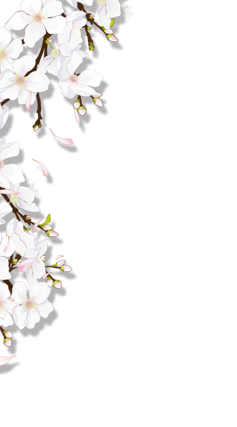 Flower white free png download