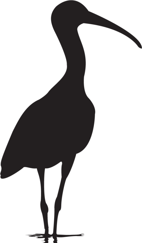 Sillhouette Clipart  Ibis PNG Icon Free Transparent