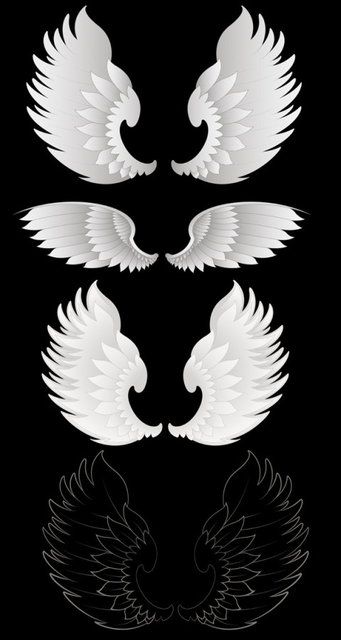 Wings Silhouette Design Elements Hight Ras Vector Graphic Images PNG Free Download