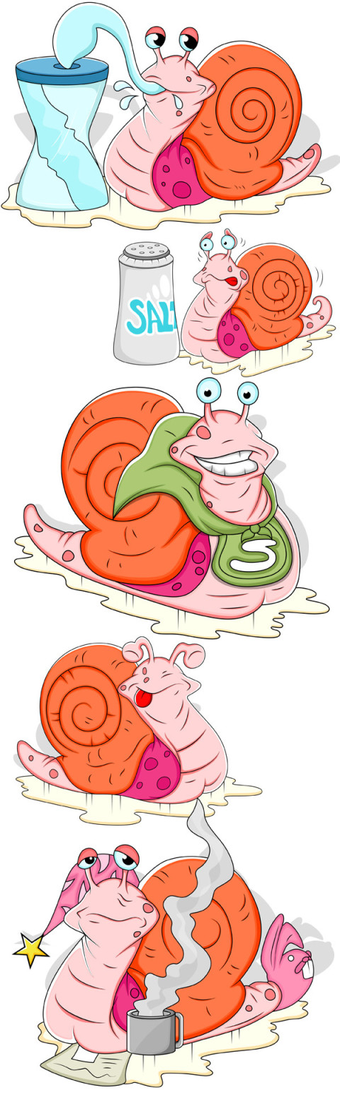 Premium Vector | Cartoon Snail Illustrations PNG Image with Transparent Free Download