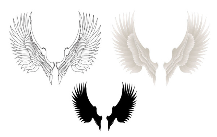 Premium Vector Wings Free Download With Different Art Design Transparent Background