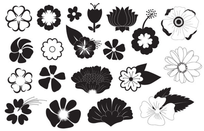 Vector Flower Design Art Icon And Graphics For Free Download With Transparent background