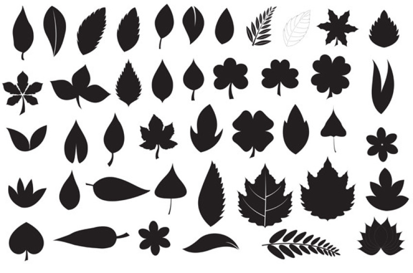 Leaf Silhouette Vectors And Templates Free Pattern Area PNG Image With Free Download