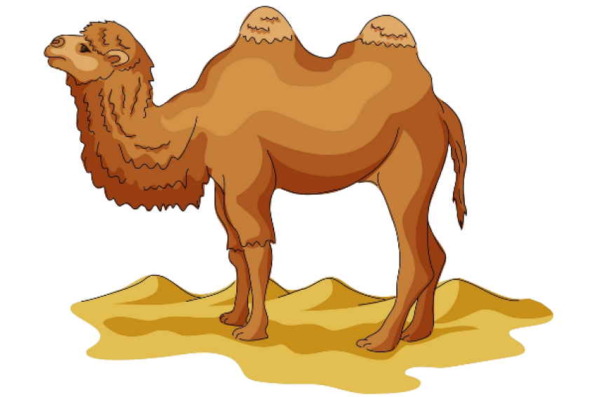 Camel png free download clipart logo