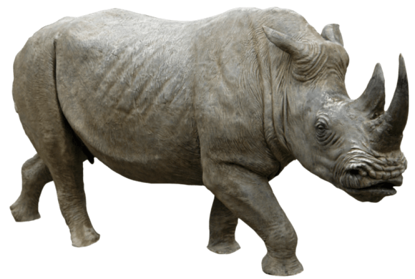 Rhinoceros PNG Wild animal Free Download