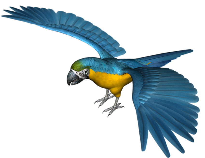 Large Blue Parrot Png Free Image, Parrot PNG Clipart, Cartoon Birds PNG Image Transparent