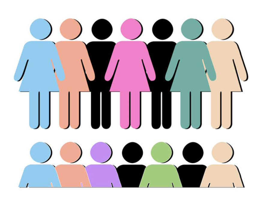 Human Body Male And Female Colorful Stock Illustration - Download Image Transparent Background