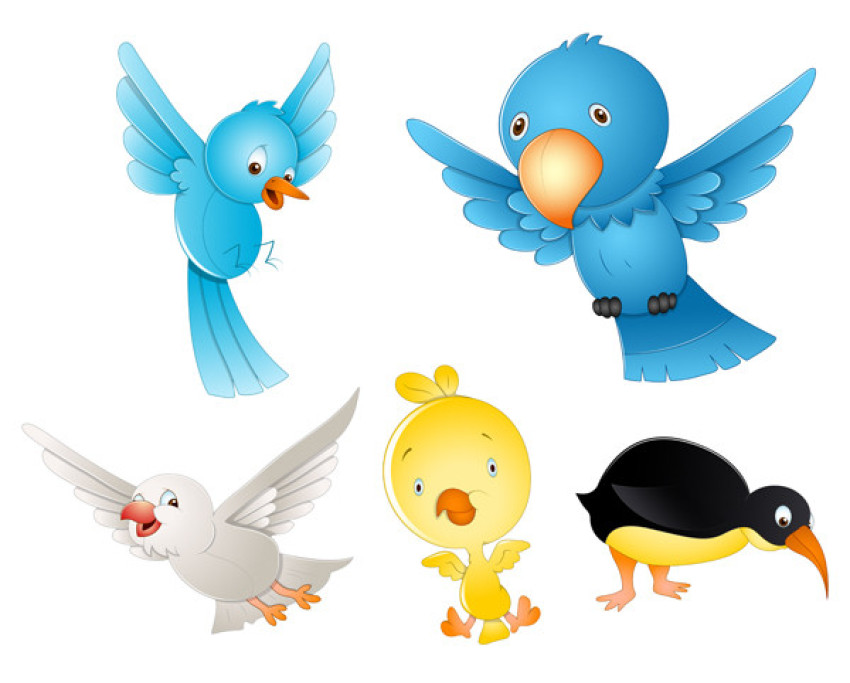 Premium Vector |  Cute Cartoon Birds Free Vector PNG Photo with Transparent Background Photo