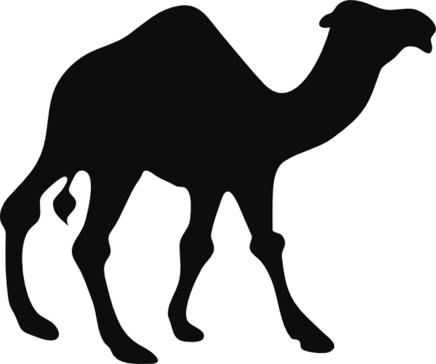 Camel png free clipart