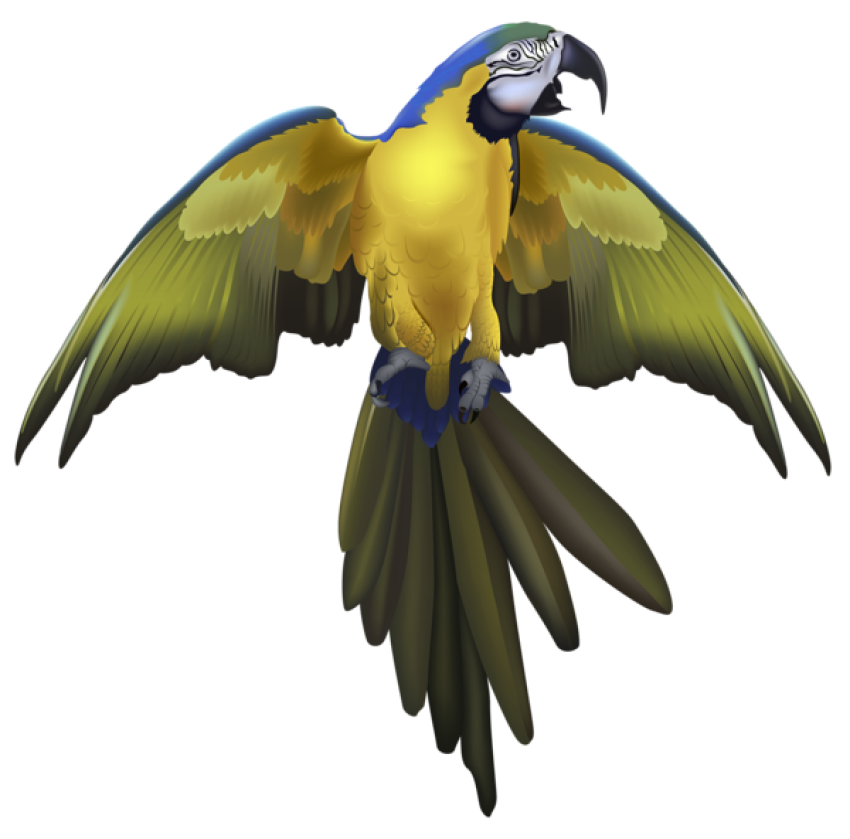 Parrot Birds Dark Green And Yellow macaw, Colored Birds, Flying , Color spalish PNG image