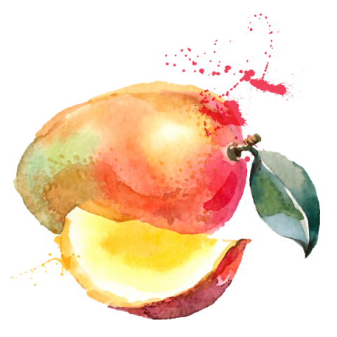 Smoothie Mango Watercolor Painting Draw PNg Image Free Download