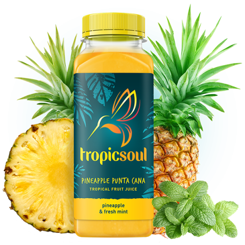Pineapple Juice with Pineapple Fresh Fruit PNG Picture Free Download
