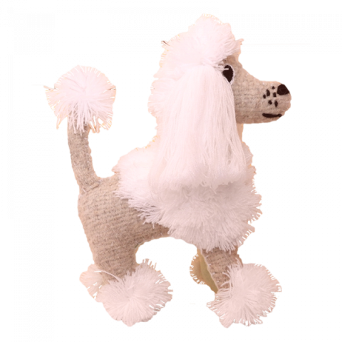 Cute Toy Poodle PNG Dog Pet Image