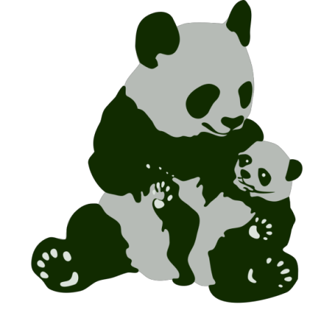 Panda Bear With little Baby PNG Animal Free Download