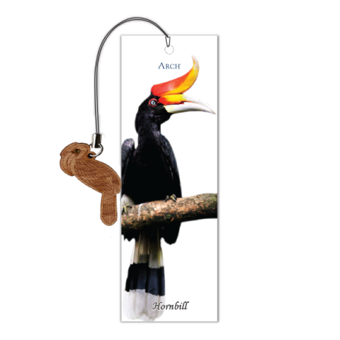 Illustration of  Hornbill PNG Transparent Photo