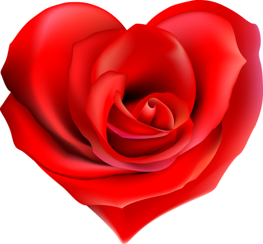 Heart red rose love red rose png free