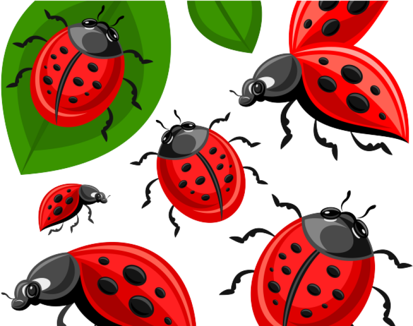 Illusttration Ai Generation Ladybird Beetle PNG Image