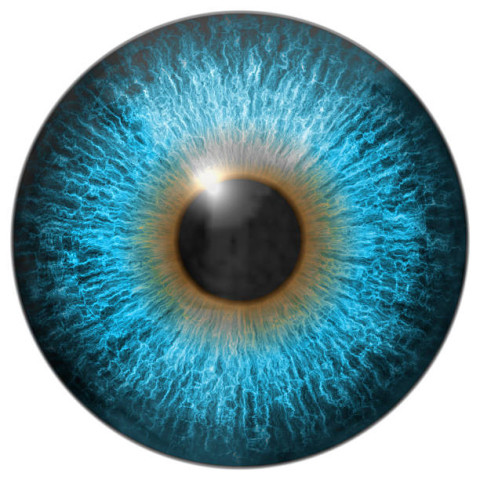 Blue eyes ball png free download transparent background