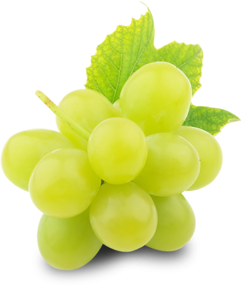 Free Download Grapes Wallpaper PNG Picture White Background Free Download
