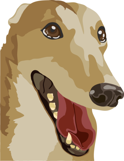 HD Water color Greyhound PNG Dog Face Art & Drawing