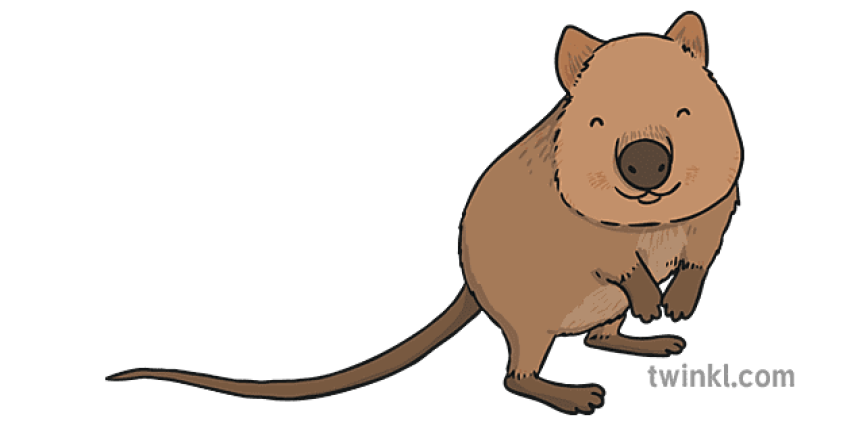 World Happiest Animal Quokka PNG Vector Art Image