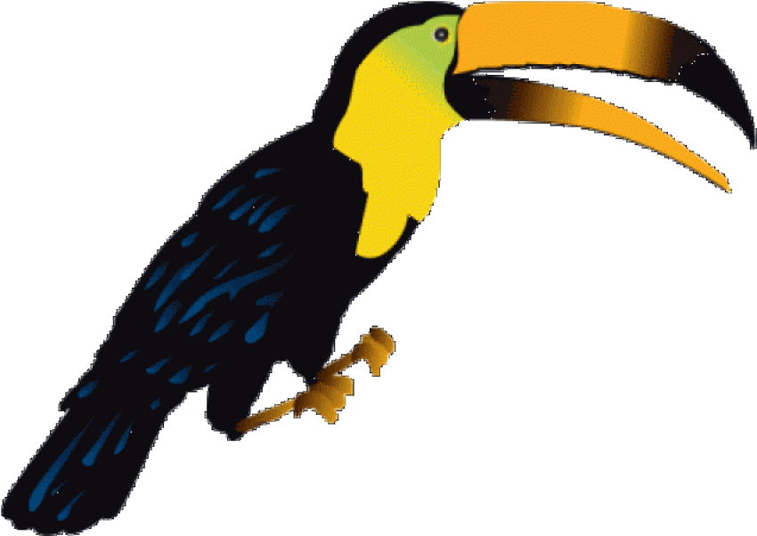 Rhinoceros Hornbill PNG Image on Transparent