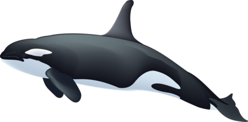 Free whales clipart free clipart graphics images and photos 2 2 (1)