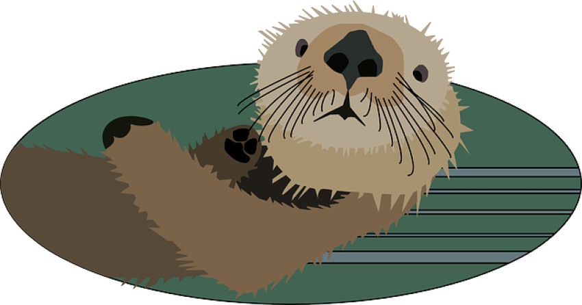 Free Vector Cute Otter PNG Image