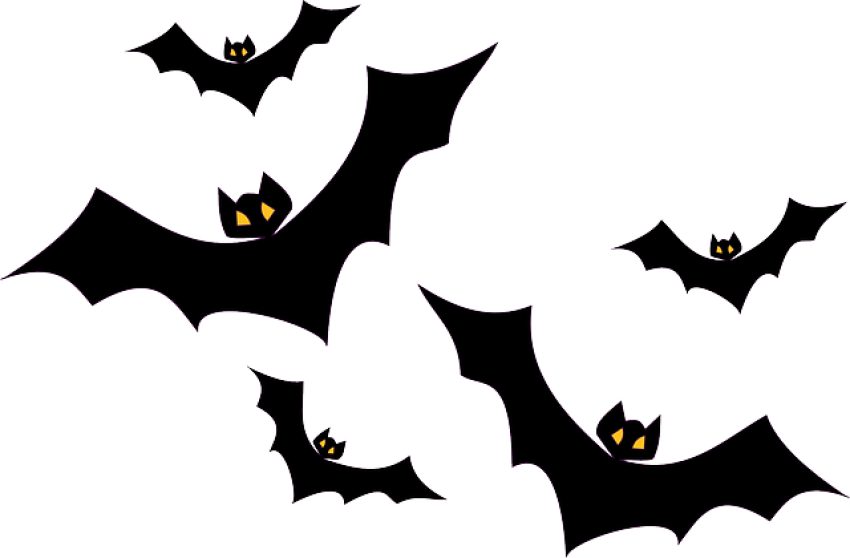 Five Bats in png free to use