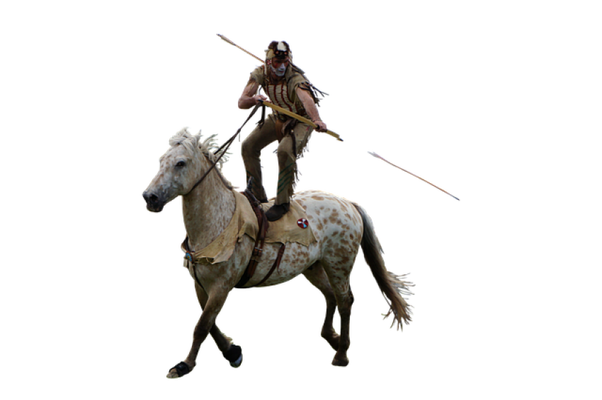 War Horse PNG PSD Transparent Background