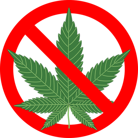 No Drugs PNG Sticker Free Download