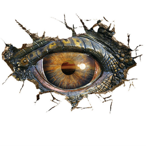 Crocodile eye or crocodile stone eye transparent background png free download