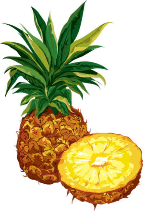 Best HQ Pineapple Image With Half Pineapple Transparent Free Download