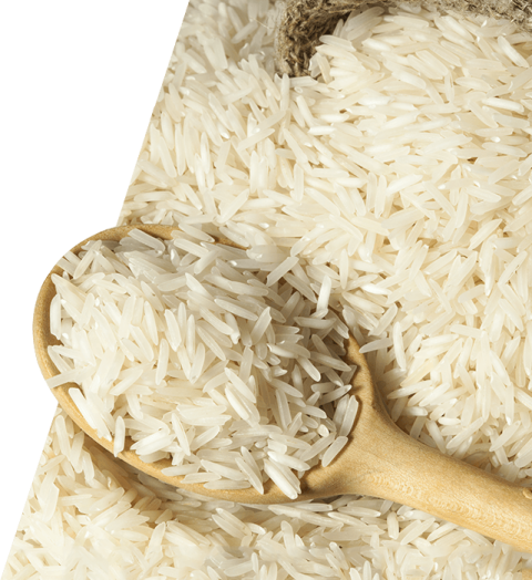 Healty Food on Rice PNG Picture Free Download