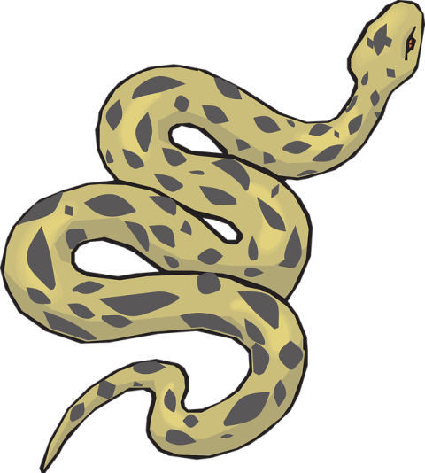 Anaconda Vector Clipart PNG Picture Free Download