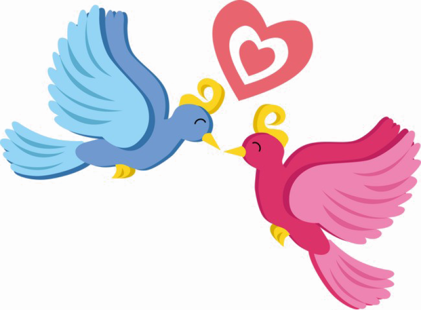 Love Birds PNG Photo Free Transparent PNG Clipart Image