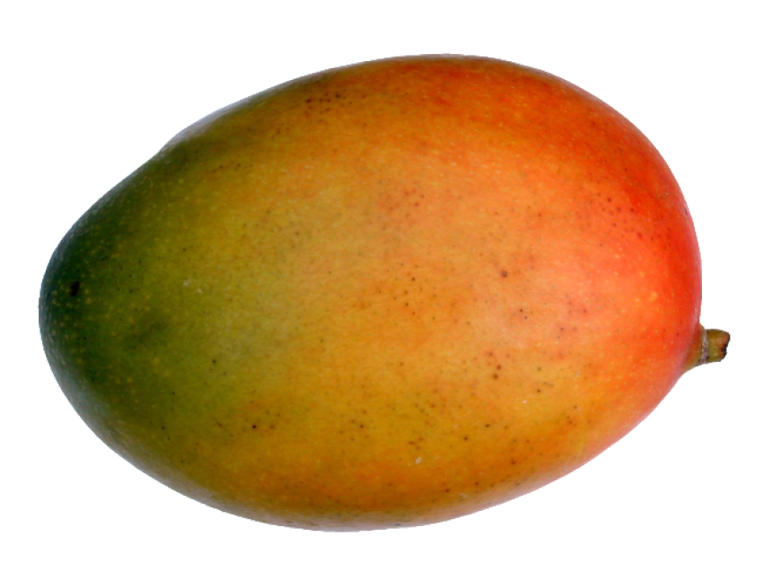 Mango Apple Fruit Icon Mango PNG Transparent Free Download