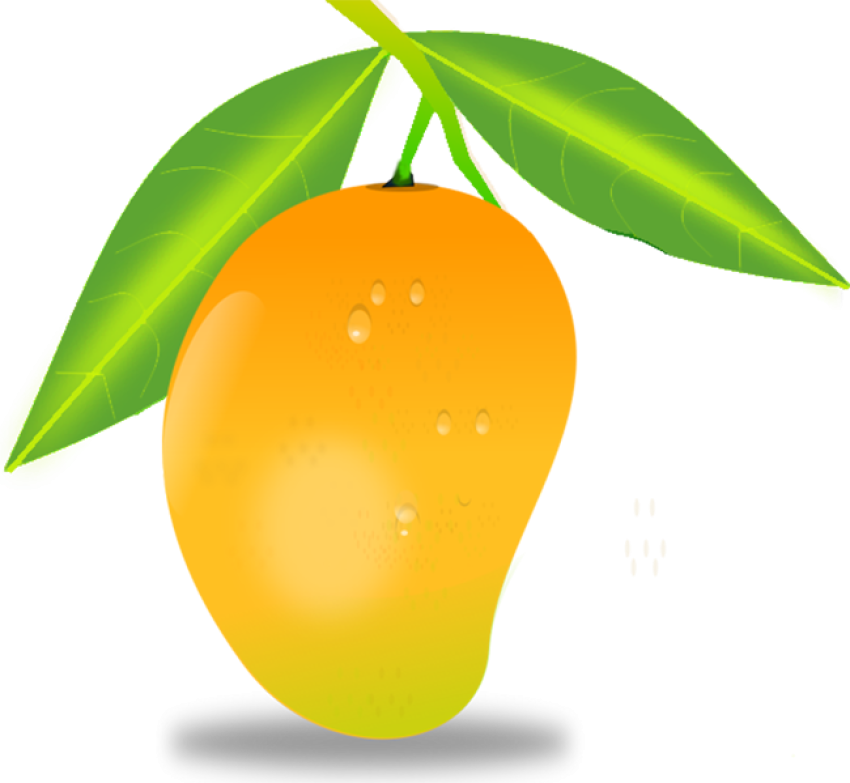 HQ Mango Clip Art Painting Free Download PNG White Background