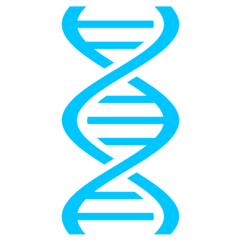 DNA PNG Vector PSD an Transparent PNG Picture Free Download