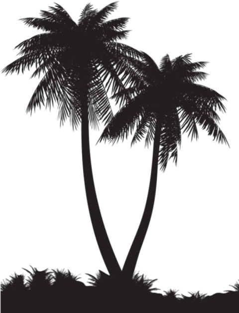 bookshelves palm tree png free download