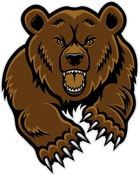 Angry Kodiak Brown Bear PNG Sticker Image