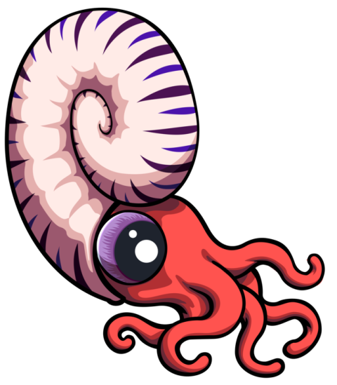 Nautilidae PNG Ammonites Nautilidae Baby Cartoon Free Image