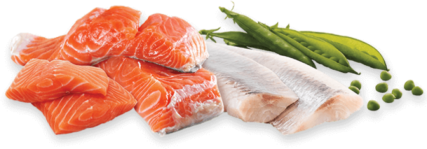 Salmon PNG Vector PSD Image Free Transparent