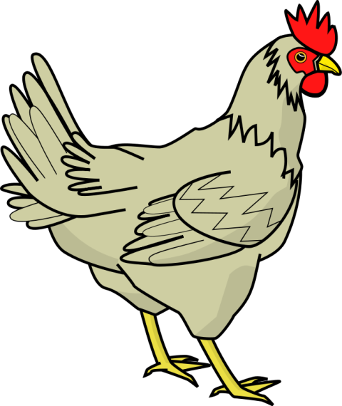 Chicken PNG clipart free download