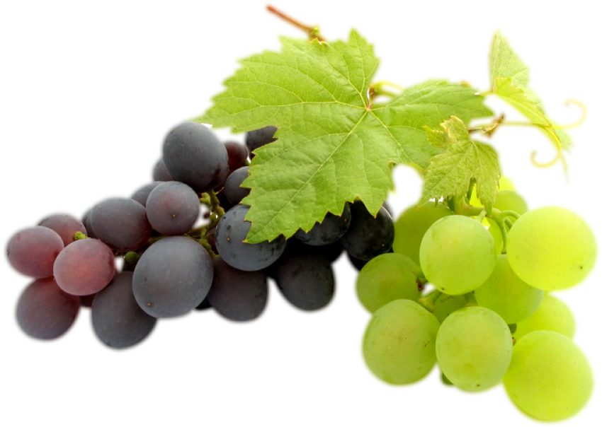 Red & Green Grapes Pair PNG Image Free Download Transparent Background