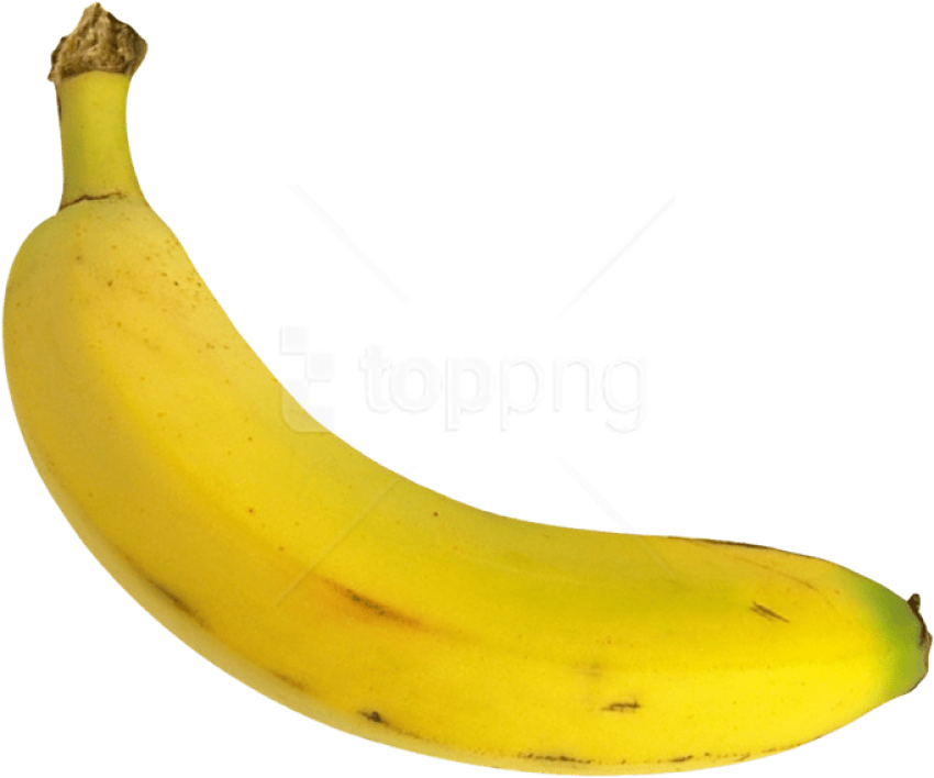 SVG Vector Banana Bunch Png Picture Free download